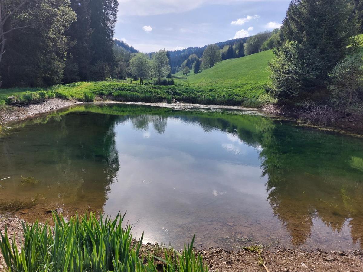 Schwarzes Ross Hotel & Restaurant Oberwiesenthal Luaran gambar